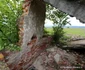Aici a fost combinatul Victoria Călan Foto Daniel Guță ADEVĂRUL (6) JPG
