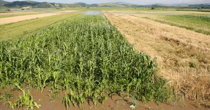 Condiţiile meteo vor benefice pentru agricultură Foto: Adevărul