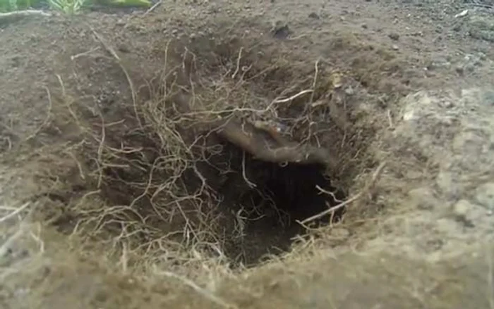Tinerii nu se aşteptau să găsească aşa ceva în această groapă foto: captură video