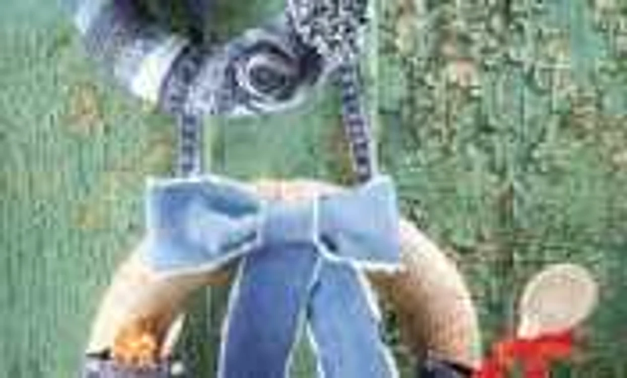 decoratiuni din jeans