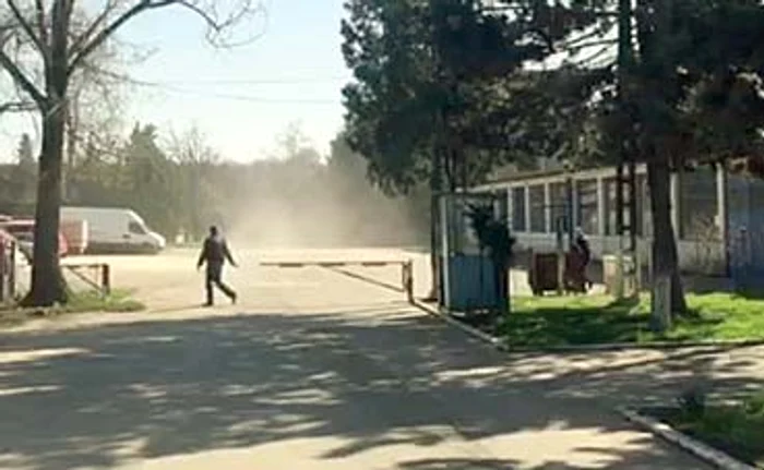 Şapte autospeciale au stins incendiul