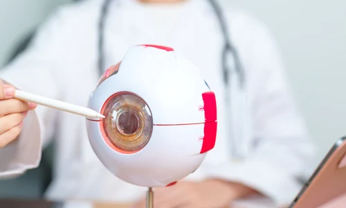 shutterstock 2430544019 jpg