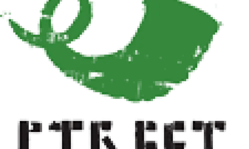 Street Delivery 2012 png