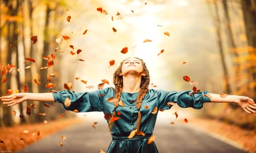 1 77813 original jpg jpeg