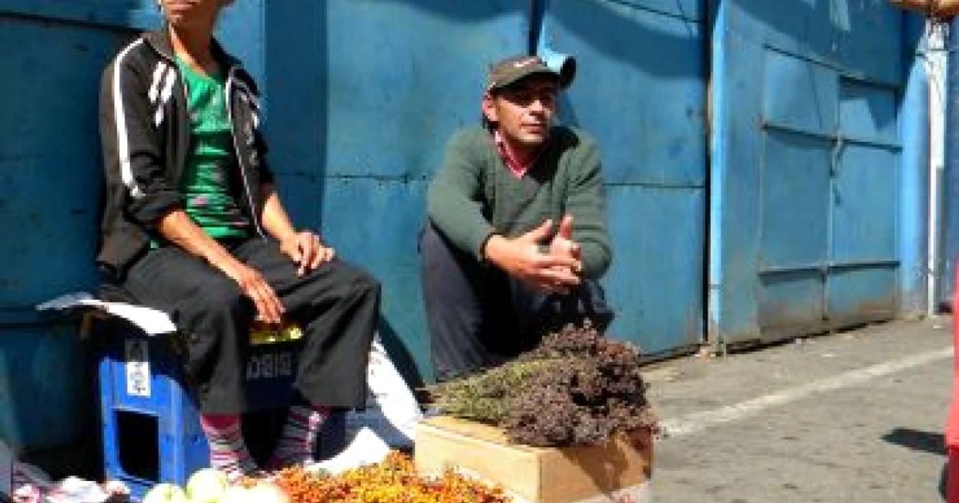 Bistriţa : Plantele medicinale, o afacere de sezon