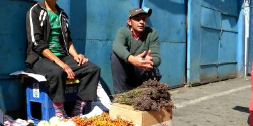 Bistriţa : Plantele medicinale, o afacere de sezon
