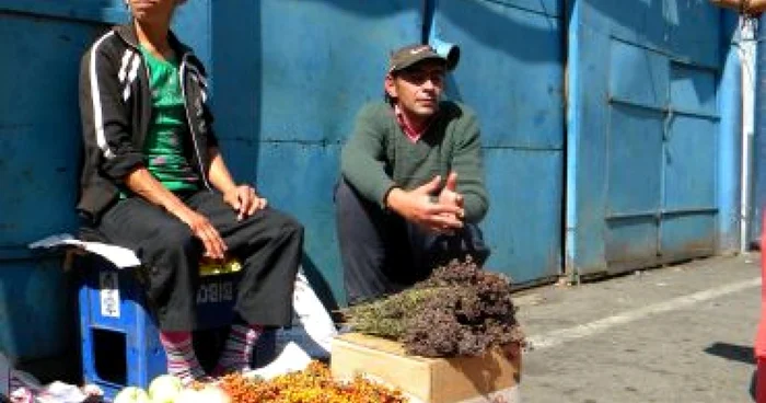 Bistriţa : Plantele medicinale, o afacere de sezon