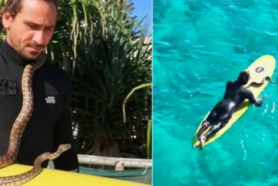 Un bărbat australian a fost amendat după ce a făcut surf cu pitonul său VIDEO