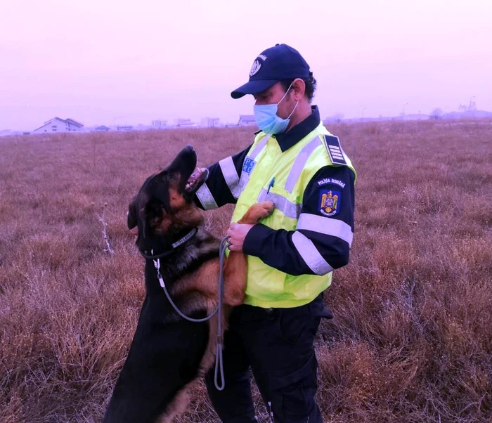 Câinele poliţist TEM a salvat o fetiţă dispărută FOTO IPJ Vrancea