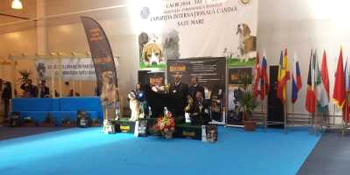 Titlul de cel mai frumos câine a fost câştigat de un teckel
sârmos, iar cel de best in show CACIB de către un un câine din rasa Bobtail,
care a mai câştigat de două ori acest titlu   FOTO  Cristina Cîcău