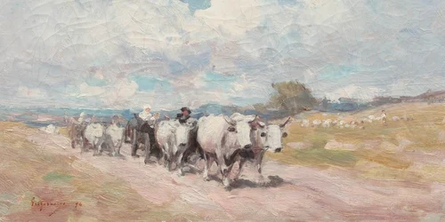 grigorescu convoi