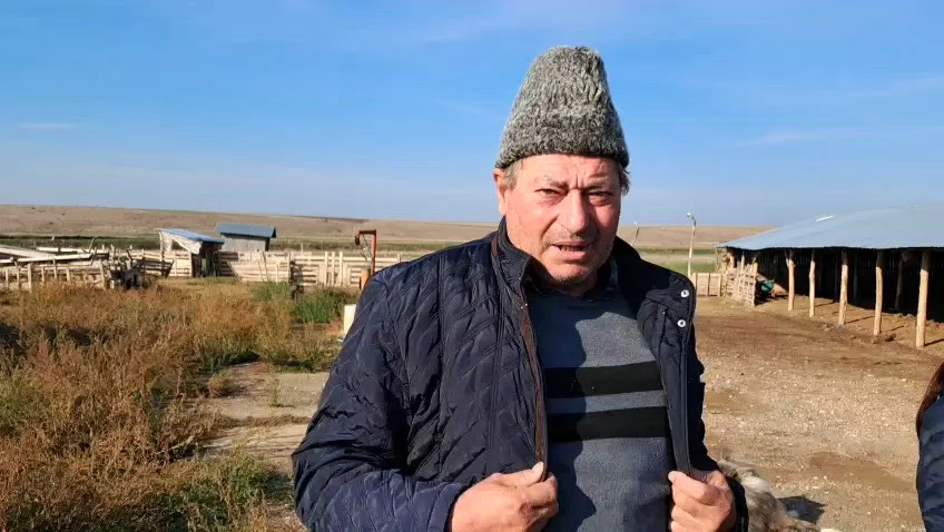 Crescătorii lăsați fără despăgubiri după masacrul oilor: „Le împușcau parcă erau pe front, aveau drag să împuște”