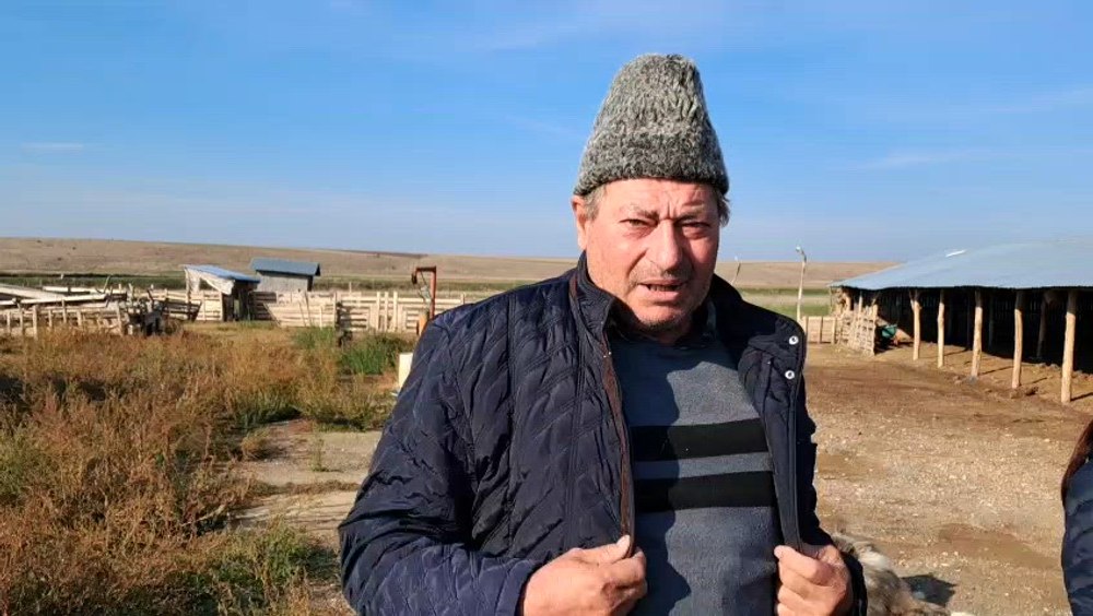 Crescătorii lăsați fără despăgubiri după masacrul oilor: „Le împușcau parcă erau pe front, aveau drag să împuște”