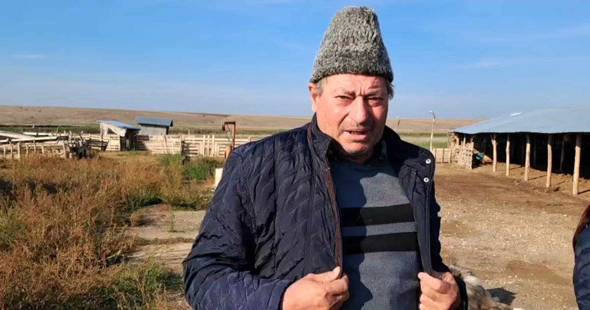 Crescătorii de oi, lăsați fără despăgubiri după un masacru şocant: „Împușcă ca în război!”