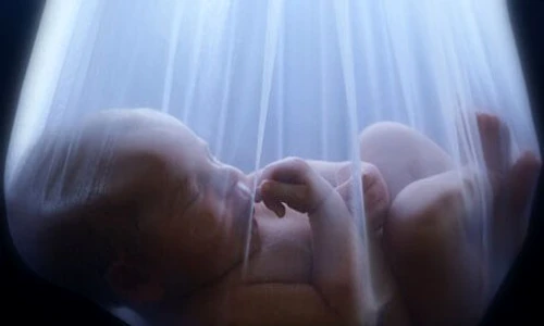 1 infertilitatea la femei jpg jpeg