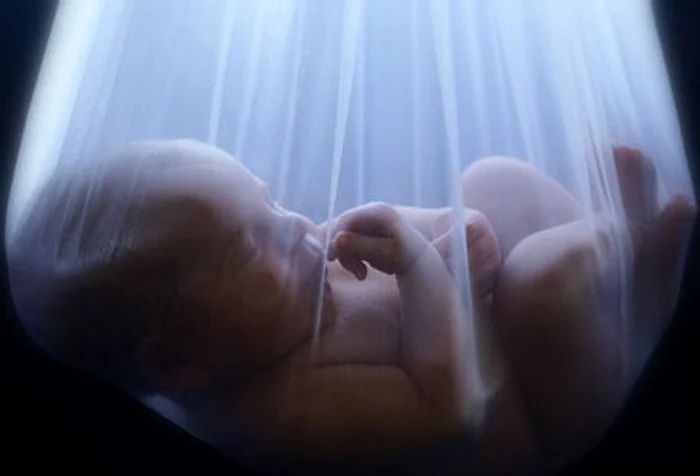 1 infertilitatea la femei jpg jpeg