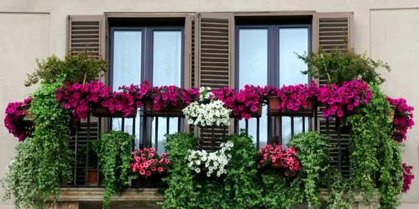 Balcon - flori la geam - fatada FOTO 123RF