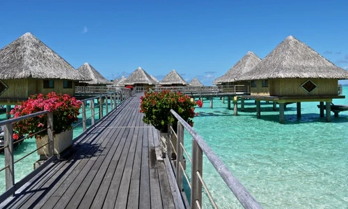 1 48834 original jpg jpeg