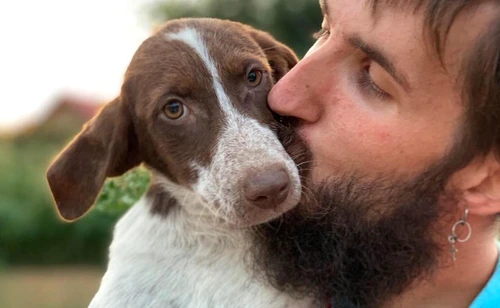 Veterinarul, în timpul unei operaţii