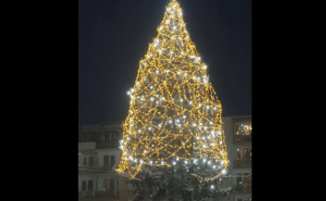 Bradul de Crăciun de la Cavnic. FOTO: Arhivă personală