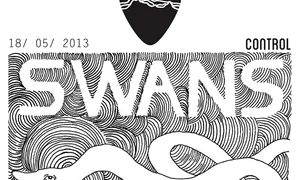 Swans, Faust, Aviatoarele României ş a jpeg