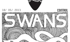 Swans, Faust, Aviatoarele României ş a  jpeg