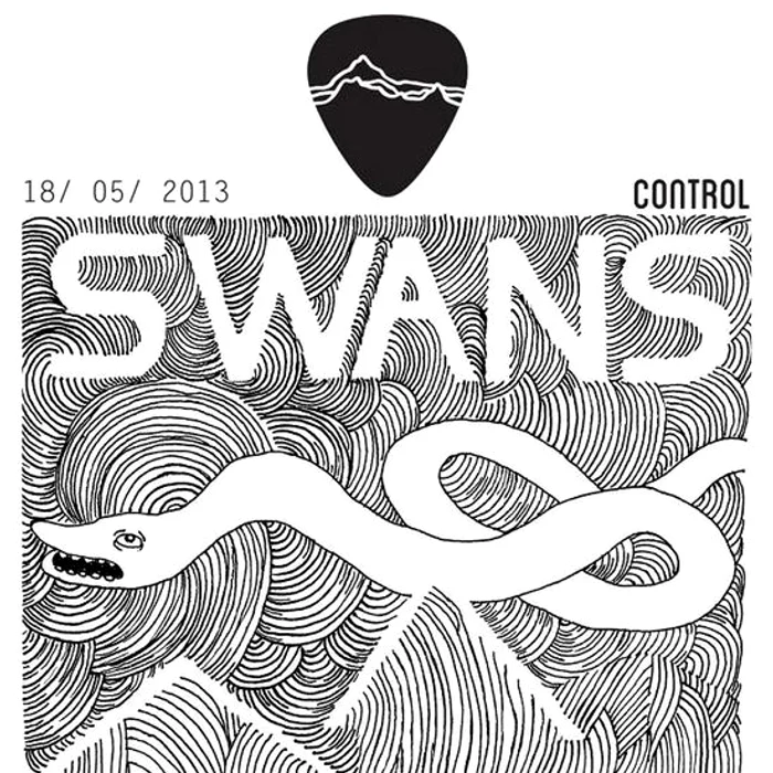 Swans, Faust, Aviatoarele României ş a jpeg