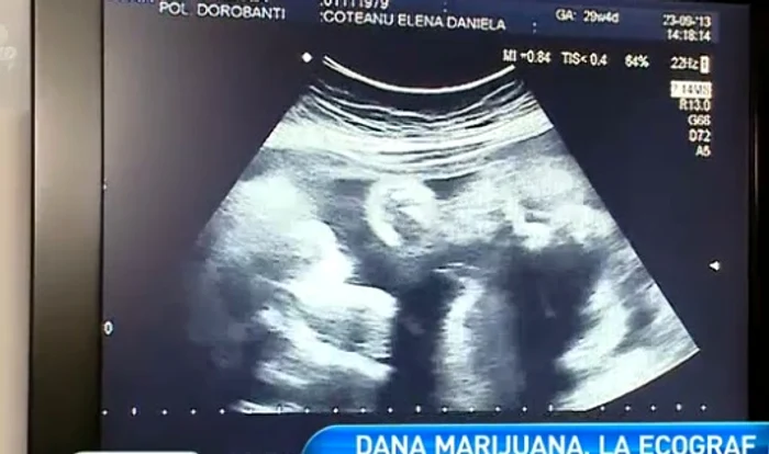 Dana Marijuana (captura La Maruta)