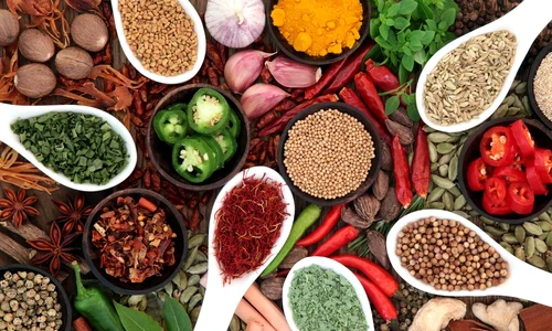 Spice and Herb Collection jpeg