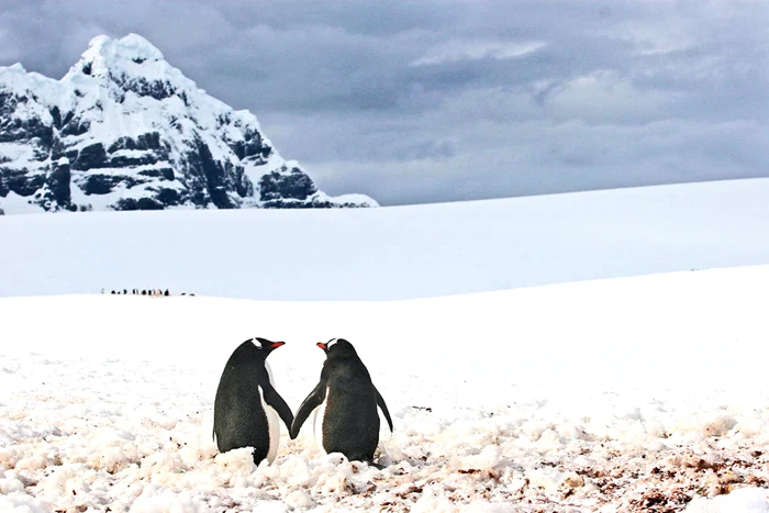 Te ador, micuţo!Foto: Photoland/Caters