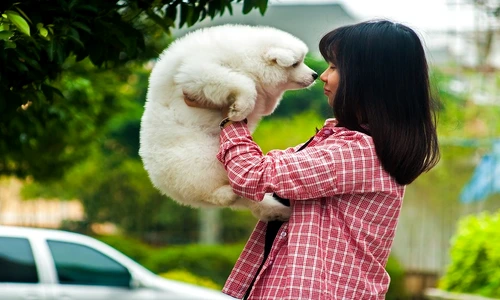 1 75909 original jpg jpeg