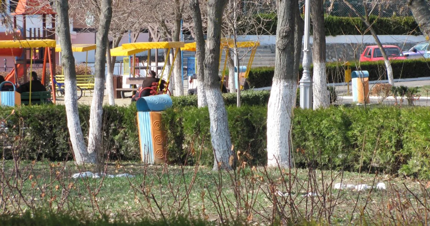 Căpuşele se găsesc în zonele cu vegetaţie