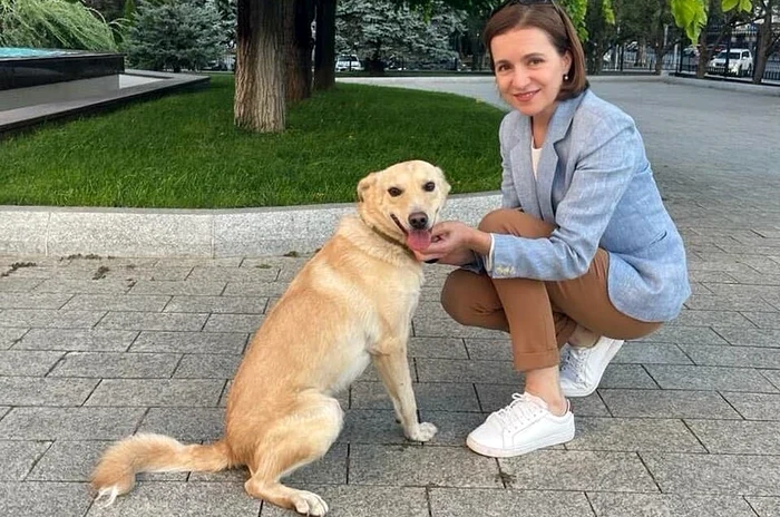 Maia Sandu și Codruț, patrupedul adoptat FOTO Facebook