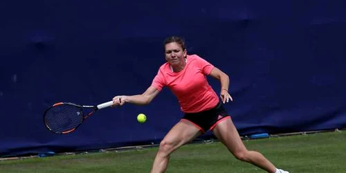 simona halep