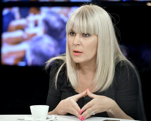 ÎCCJ a respins încercarea Elenei Udrea de a ieși din închisoare FOTO: Arhivă