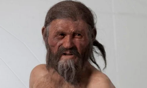Oetzi, „Omul Gheţurilor”, avea ochi căprui jpeg
