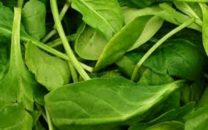 
    Spanacul  oferă un bonus de luteinăSursa  foto: Adevarul.ro  