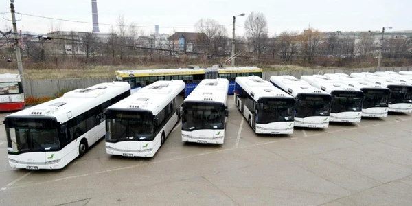 autobuze baia mare