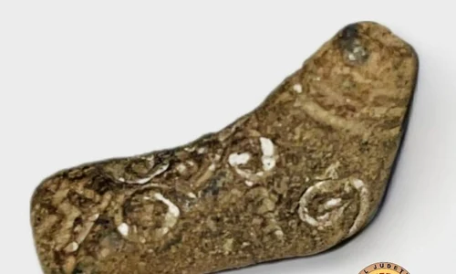 Foto: Camelia Săvescu, Referent de Specialitate, Biroul de Marketing, Muzeul Olteniei