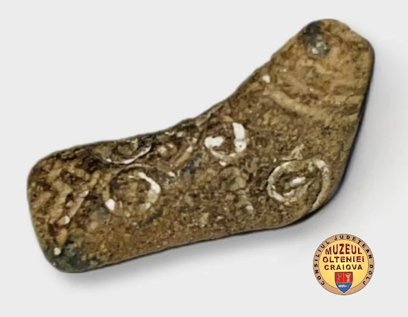 Foto: Camelia Săvescu, Referent de Specialitate, Biroul de Marketing, Muzeul Olteniei