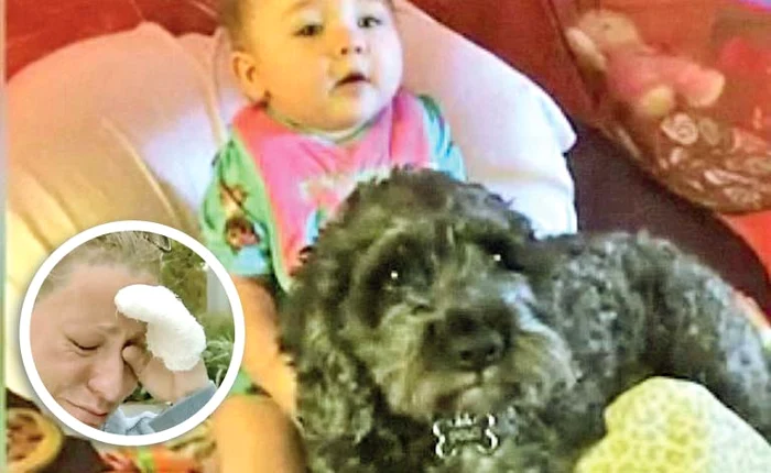 Polo a acoperit-o cu propriul trup pe Viviana, pe care mama nu a putut-o scoate din flăcări