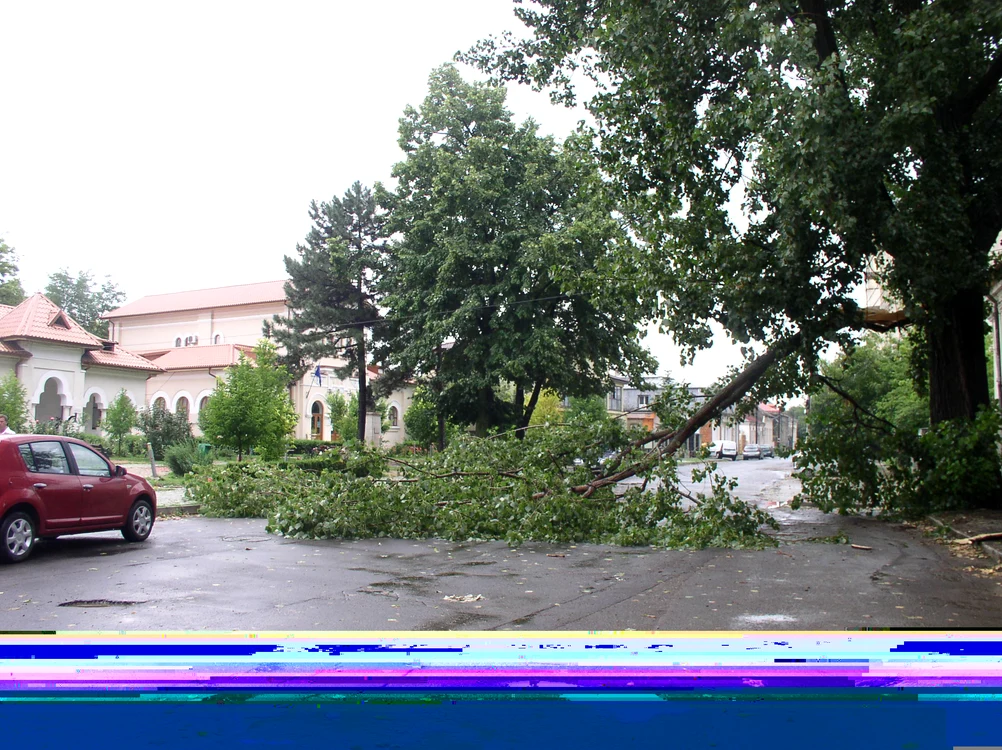 Vântul puternic a doborât mai mulţi copaci Foto:Adevărul