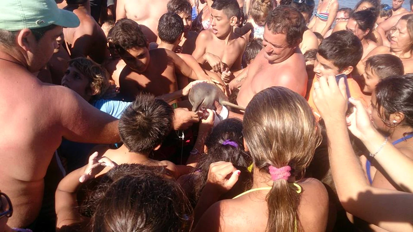 Turiștii s-au înghesuit să se pozeze cu animalul marin