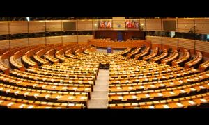„Cuvintele fac lumea” cum a învățat Cristian PREDA limba bruxelleză jpeg