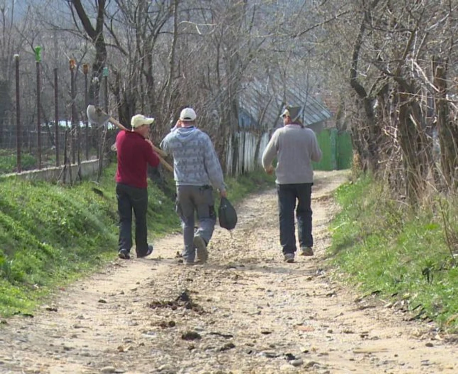 
    Doi minori au violat un băiețel de 10 aniFoto Adevărul  