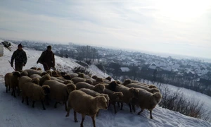Capela Sf Ștefan, din Sânzieni jpeg