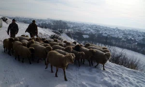 Capela Sf Ștefan, din Sânzieni jpeg