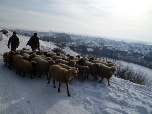 Capela Sf Ștefan, din Sânzieni jpeg