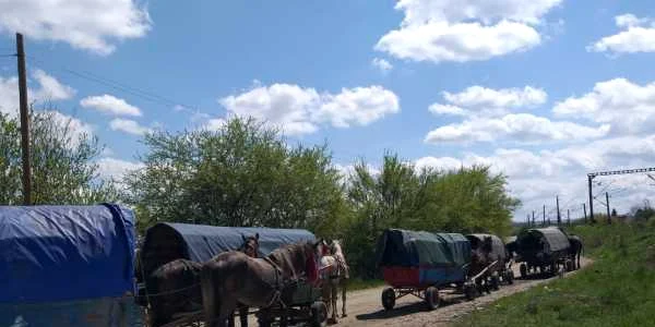 convoi carute