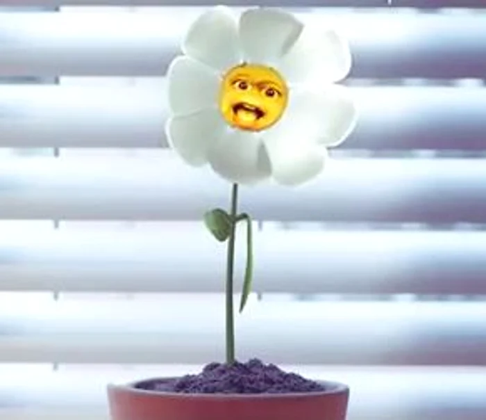 Voltaj (captură video)